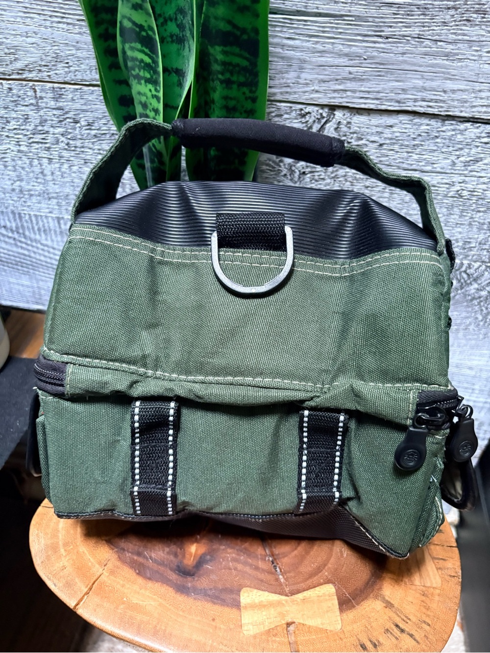 Coleman | Small Dual Compartment Insulated Softside Cooler/Lunch Bag - Green/Blk